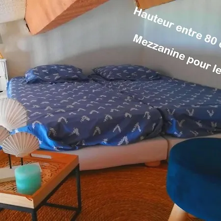 Confort A Cap Coudalere Avec Vue Magnifique Sur Le Canigou Au Bord Du - Check In Automatise - Parking Gratuit - Aire De Jeux D'enfants - アパート *